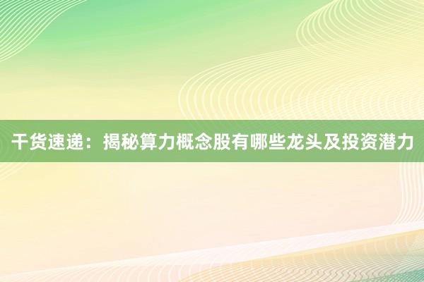 干货速递：揭秘算力概念股有哪些龙头及投资潜力