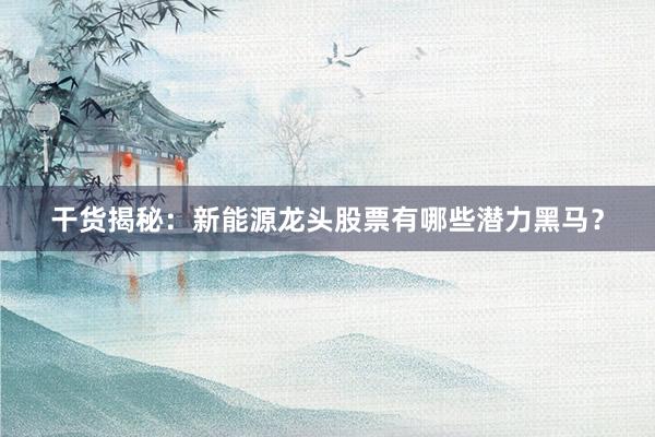 干货揭秘：新能源龙头股票有哪些潜力黑马？