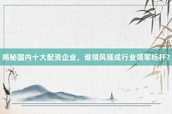 揭秘国内十大配资企业，谁领风骚成行业领军标杆？