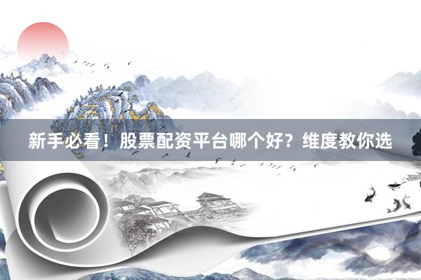 新手必看！股票配资平台哪个好？维度教你选