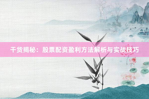干货揭秘：股票配资盈利方法解析与实战技巧