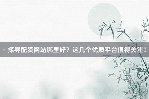 - 探寻配资网站哪里好？这几个优质平台值得关注！