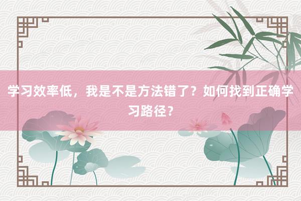 学习效率低，我是不是方法错了？如何找到正确学习路径？