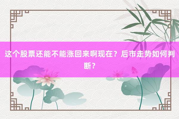 这个股票还能不能涨回来啊现在？后市走势如何判断？