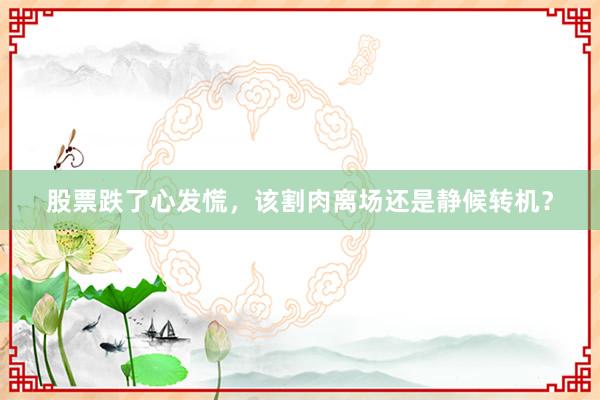 股票跌了心发慌，该割肉离场还是静候转机？