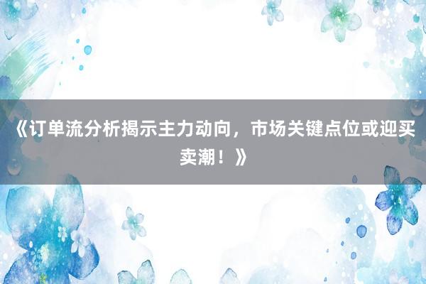 《订单流分析揭示主力动向，市场关键点位或迎买卖潮！》