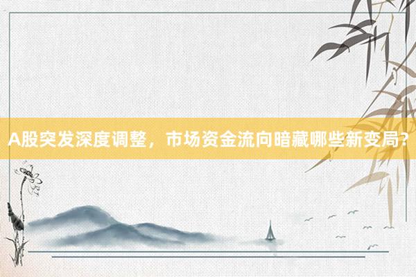A股突发深度调整，市场资金流向暗藏哪些新变局？