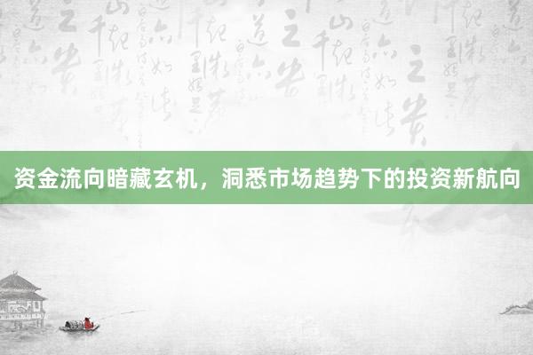 资金流向暗藏玄机，洞悉市场趋势下的投资新航向