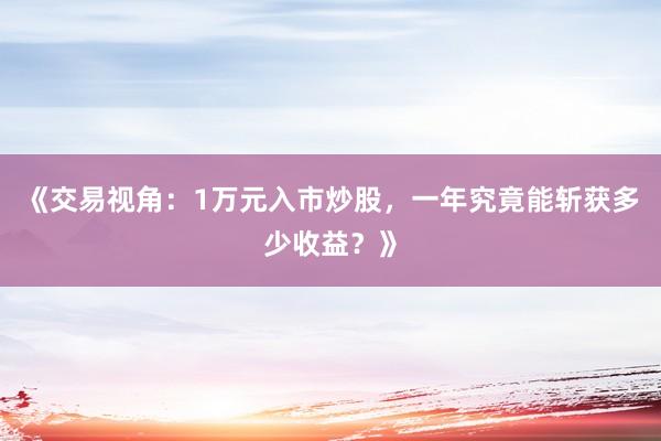 《交易视角：1万元入市炒股，一年究竟能斩获多少收益？》
