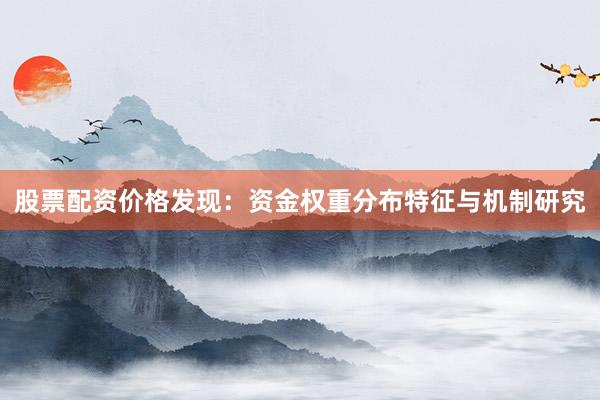 股票配资价格发现：资金权重分布特征与机制研究
