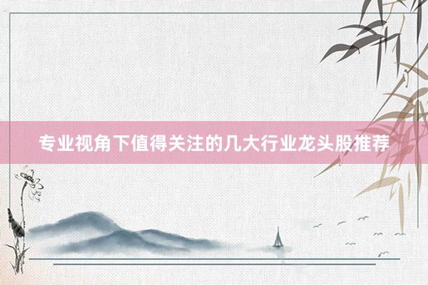 专业视角下值得关注的几大行业龙头股推荐